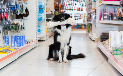 Start Your Own Pet Supply Store Franchise